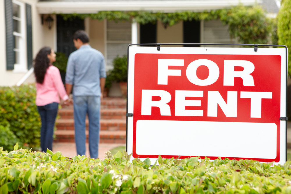 Ultimate guide to renting