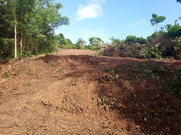 IMG-20250902-WA0039